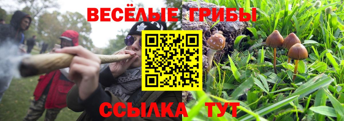 Псилоцибиновые грибы GOLDEN TEACHER  Вход с VPN  Псилоцибиновые грибы мухоморы  Гурьевск 