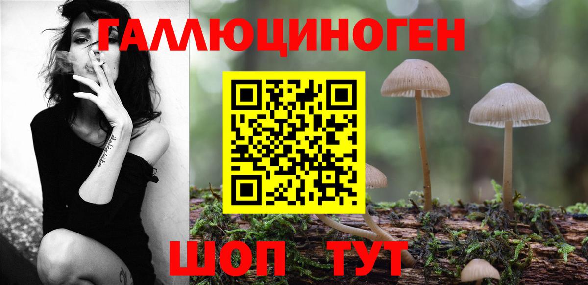 Псилоцибиновые грибы Magic Shrooms Гурьевск